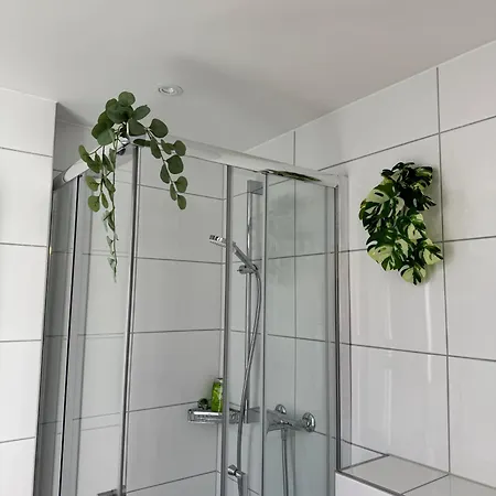 Mc Solutions Im Zentrum
