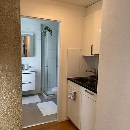 Mc Solutions Im Zentrum Appartement *