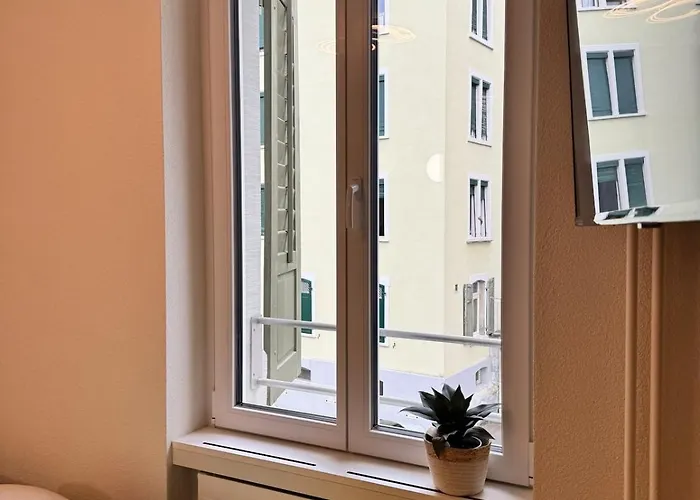 Mc Solutions Im Zentrum * St. Gallen