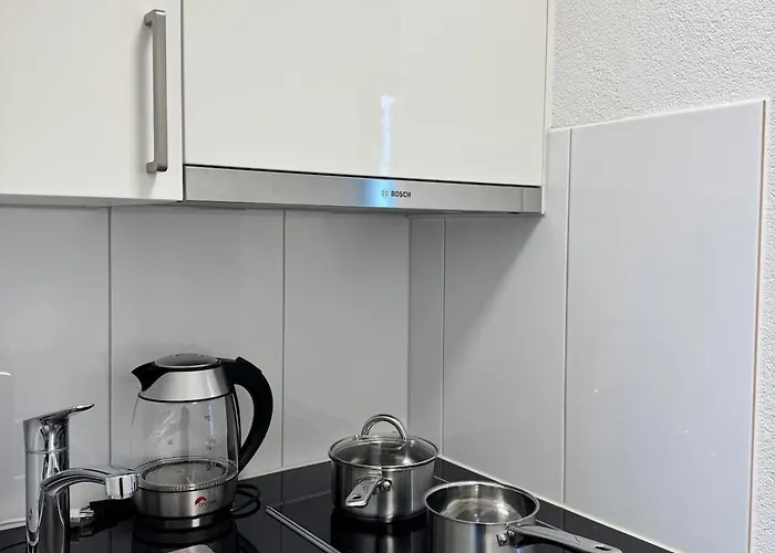 Lägenhet Mc Solutions Im Zentrum St. Gallen