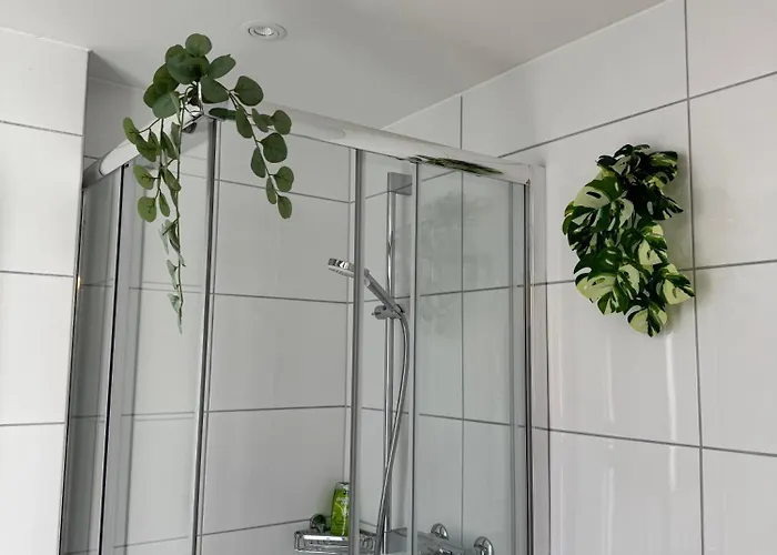 Mc Solutions Im Zentrum