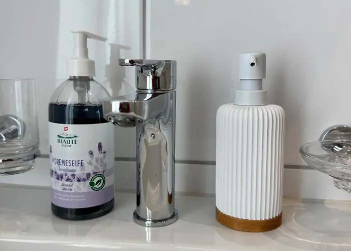 Lägenhet Mc Solutions Im Zentrum St. Gallen